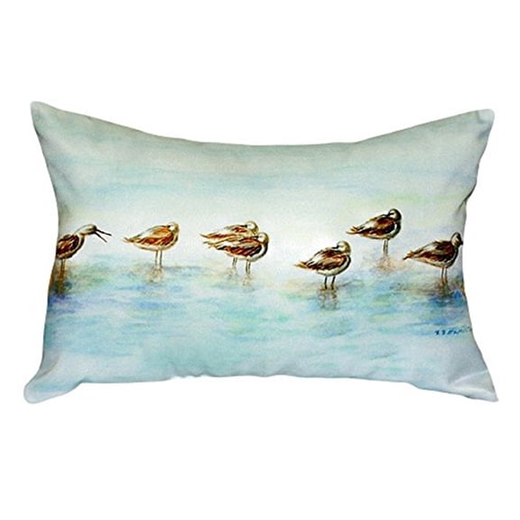 Avocets No Cord Pillow 16x20