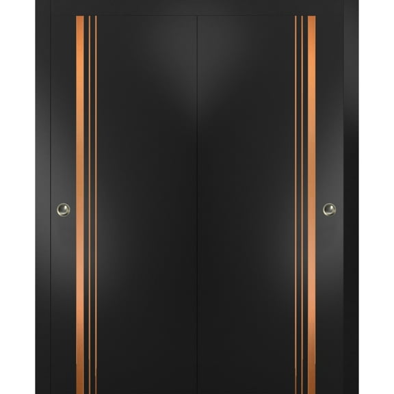 Sliding Closet Bypass Doors 36 x 80 inches | Planum 1010 Matte Black with Frosted Glass | Sturdy Rails Moldings Trims Hardware Set | Wood Solid Bedroom Wardrobe Doors