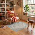thumbnail image 3 of ODIKA 3'x5' Ultra-Soft Throw Mat, Under Faded Plush Traditional Motif Delicate Grey Padded Foam None Washable, Bare feet friendly, Easy Care Indoor rug for Bedside, Vanity, 3 of 7