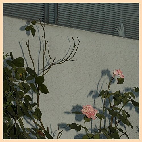 Soft Kill - Savior - Music & Performance - CD