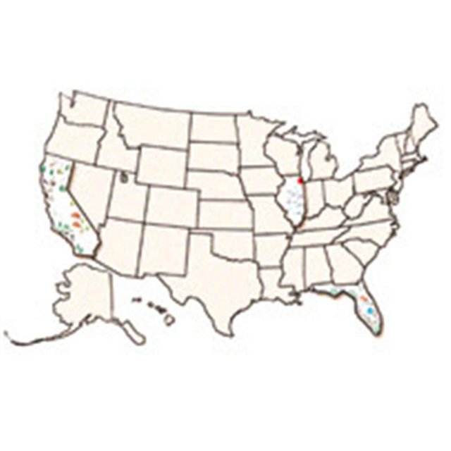 ROYLCO INC. R-52027 40.5"x60" USA Collage Map