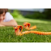 Robo Alive King Cobra Snake Electronic Robot Toy, Realistic Moving by ZURU, Ages 3+