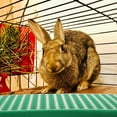 thumbnail image 6 of Sensethe Rabbit Cage Liner Mat for Pet Cats Dogs Bunny Hamster Rat Chinchilla Guinea Pig, 6 of 6
