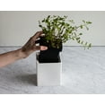 thumbnail image 2 of ZWILLING Ceramic Storage Box - Medium, 2 of 4