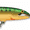 Green Mackerel, variant on Rapala CDMAG14SM Count Down Magnum Fishing Lure 5 1/2" 1 1/4 oz Silver