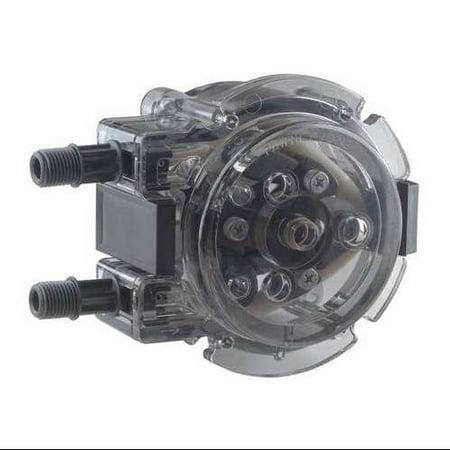 - STENNER QP255-1G1 Replacement Pump Head #5, Metering,
