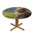 thumbnail image 3 of WYYP Easter Bunny Rabbit Round Fitted Tablecloth Easter Gold Round Table Cover with Elastic Edge Waterproof Wipeable Polyester Circle Table Cloths for Party Patio Holiday Decor White, 3 of 7