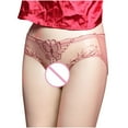 thumbnail image 2 of TMOYZQ Women's Crotchless Panties Embroidery Sheer Mesh See Through Briefs Bikini Panties Stretch Breathable Underpants Cheeky Underwear Naughty Lingerie, 2 of 5