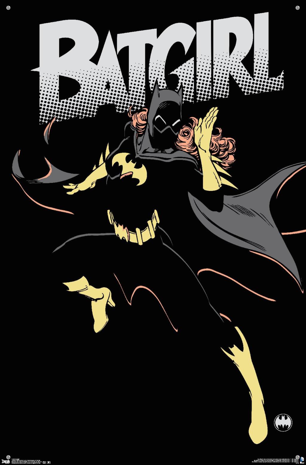 DC Comics - Batgirl Wall Poster with Push Pins, 22.375" x 34"