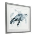 thumbnail image 3 of Stupell Industries Weathered Sea Turtle Gray Framed Print Under Glass design by Marcus Prime, 13 x 16, 3 of 10