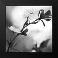 thumbnail image 2 of Phillip, Jamie 15x15 Black Modern Framed Museum Art Print Titled - Blooming Black, 2 of 5