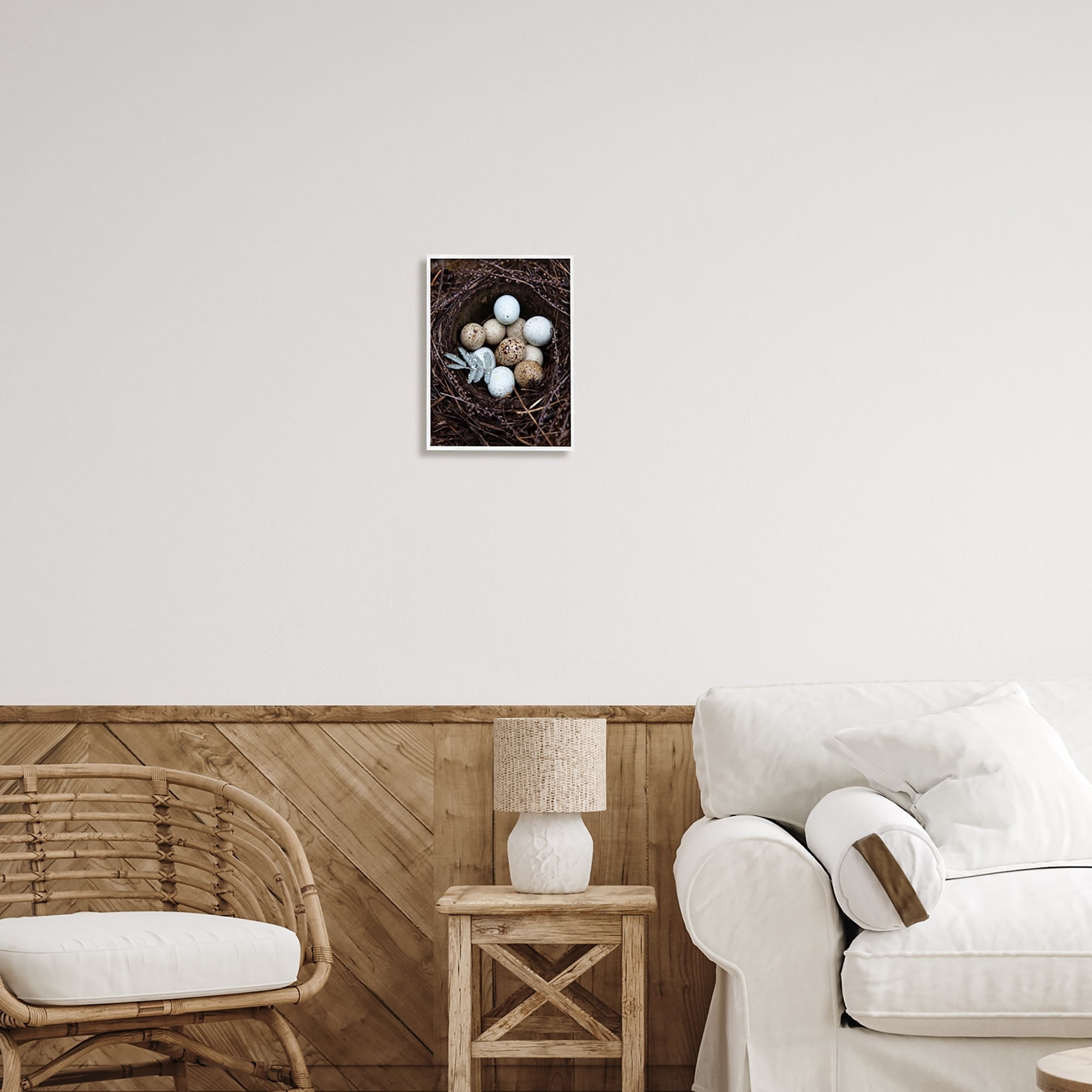 Stupell Industries Close Up Bird Eggs Nest Wildlife Nature Photography Photograph White Framed Art Print Wall Art, Design by Tania Soderman