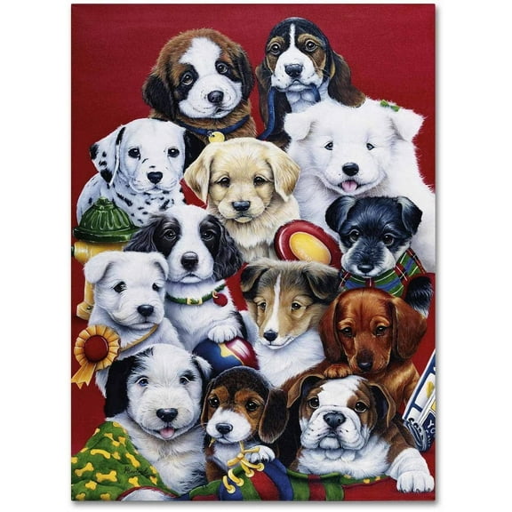 Trademark Fine Art Jenny Newland Picture Day Canvas Wall Art - 14x19