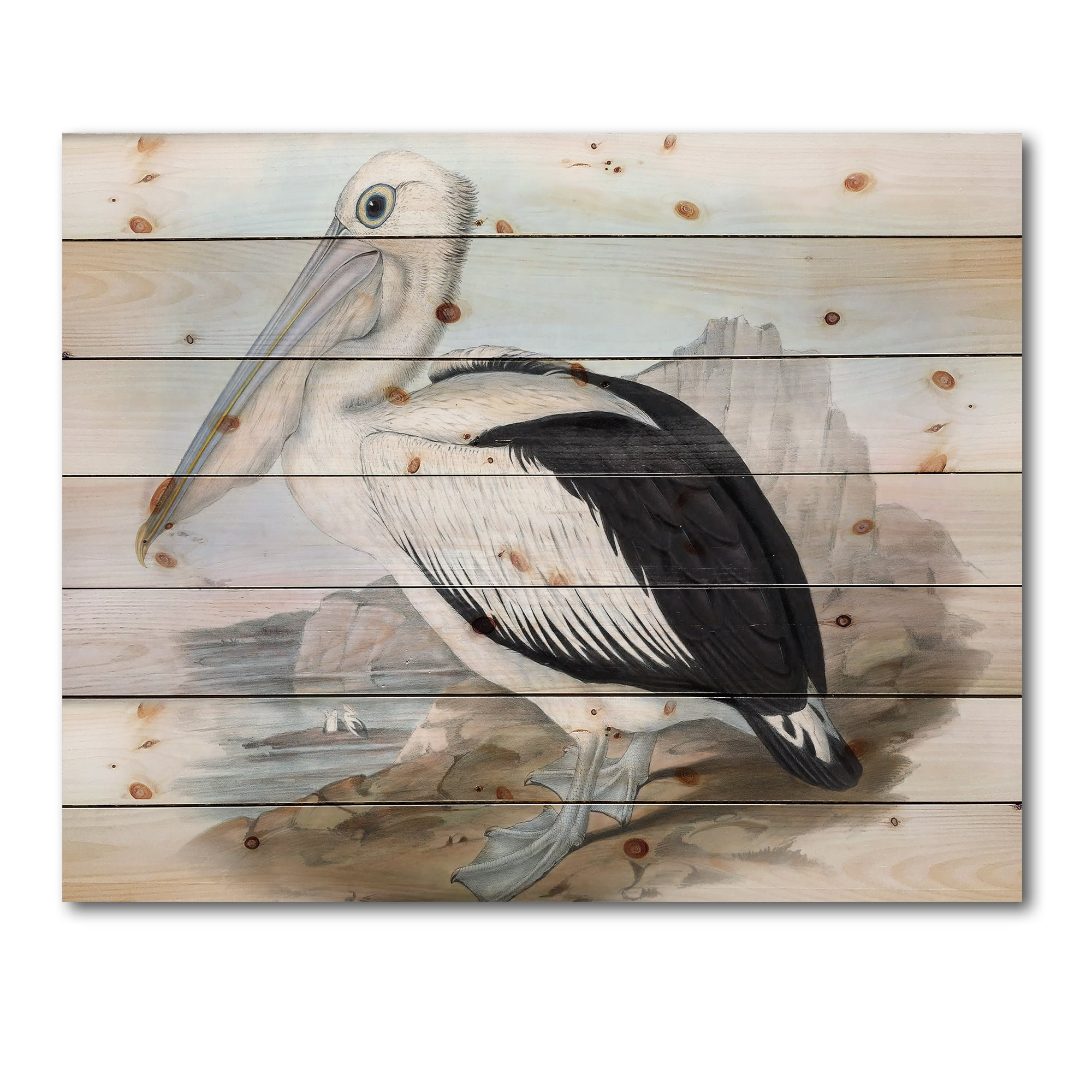 Designart 'Ancient Australian Birds VIII' Traditional Print on Natural Pine Wood