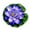 H, variant on Artificial Lily Pads Floating Foam Flowers for Garden Pool Fish Tank Decor