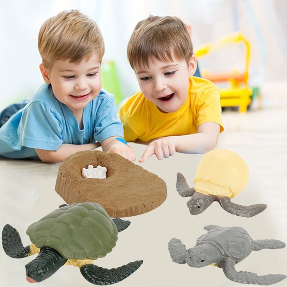 Xihbxyly Los Artículos Más Vendidos Jugues Model Of Ciclo de Crecimiento para Niños con Simulación Educativa