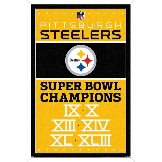 NFL Pittsburgh Steelers - Champions 13