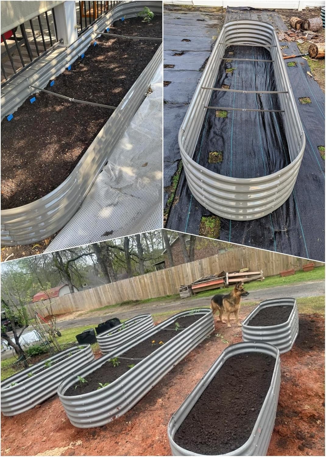 Anleolife 2 PACK 12x3x1.5 ft Galvanized Raised Garden Beds Outdoor, Oval Extra Large Metal Planter Box for Planting Vegetables Flowers Herb, Anti-Rust, Quartz Grey