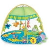 Sassy Deluxe Lily Pad Lagoon Developmental Playmat