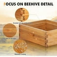 thumbnail image 3 of 10 Frame Super Beehive Board Unassembled Bee Box Wax Coated Bee Hives Body Comes with Pack of Screws(No Frames or Foundations), 3 of 5