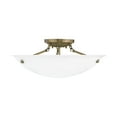 Livex Lighting Oasis 3 Light Ceiling Mount