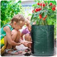 thumbnail image 1 of Bolsa de cultivo de patatas, 2 bolsas de verduras de 10 galones, tela duradera de 35 x 45 cm con solapa y asa, 1 of 2