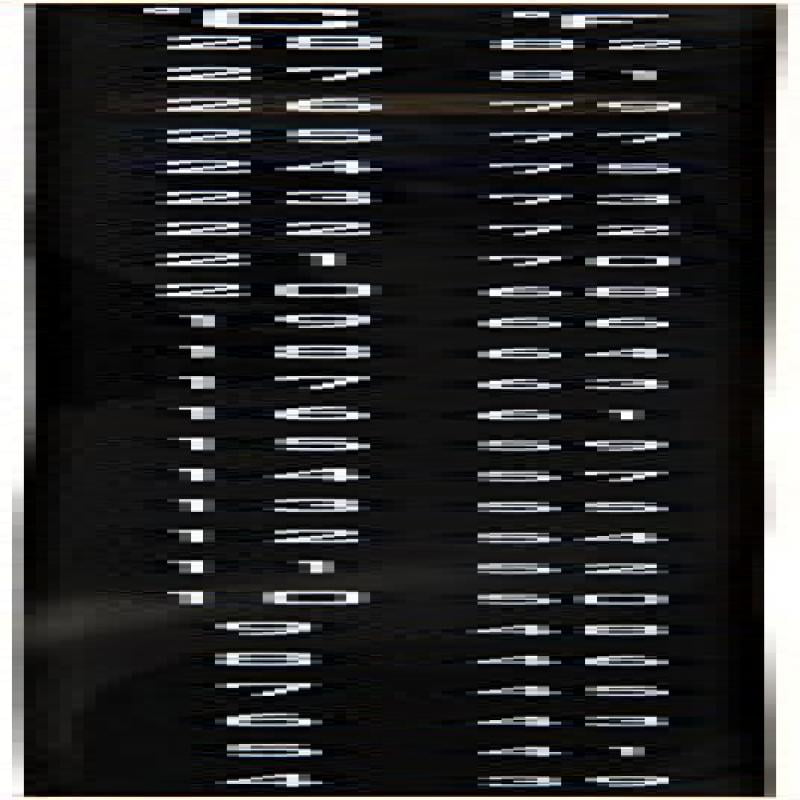 Brewcraft Strip Thermometer Carboy Fermenter Homebrew Beer New