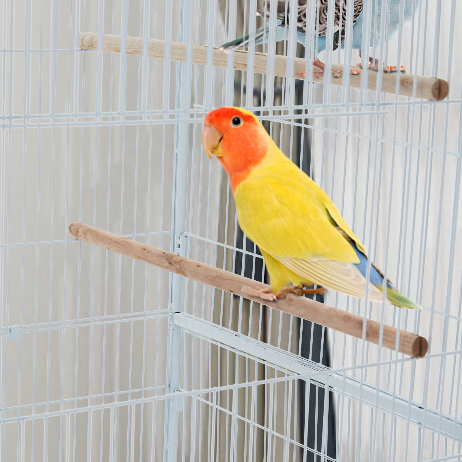 Spacious Metal Bird Cage with Play Top – Rolling Stand. Storage Shelf. -Out Tray – Flight Cage for Parrots. Cockatiels. Conures. Parakeets. Budgies. Lovebirds. Finches. Canaries – White