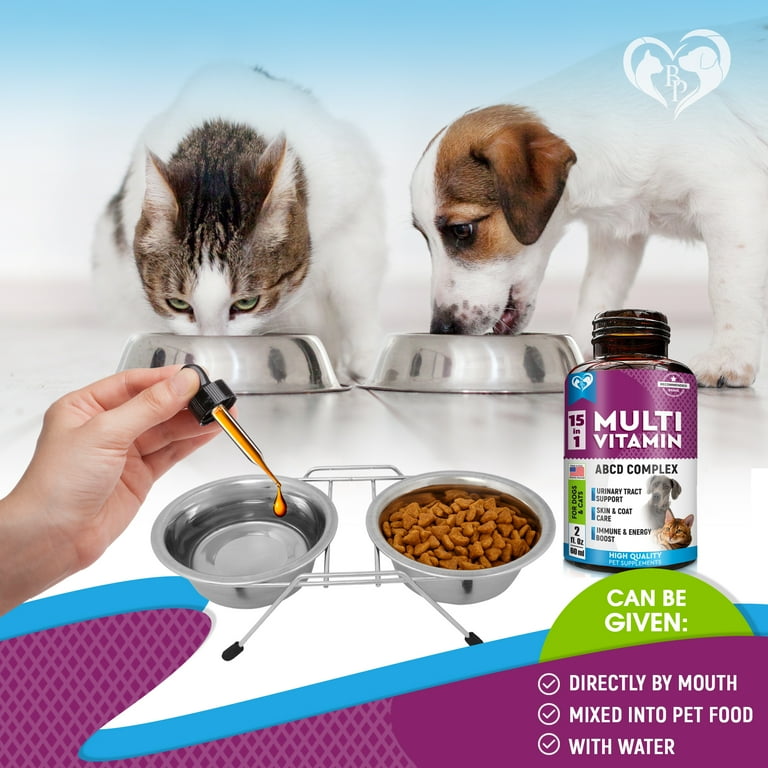Cat skin and coat supplements sales