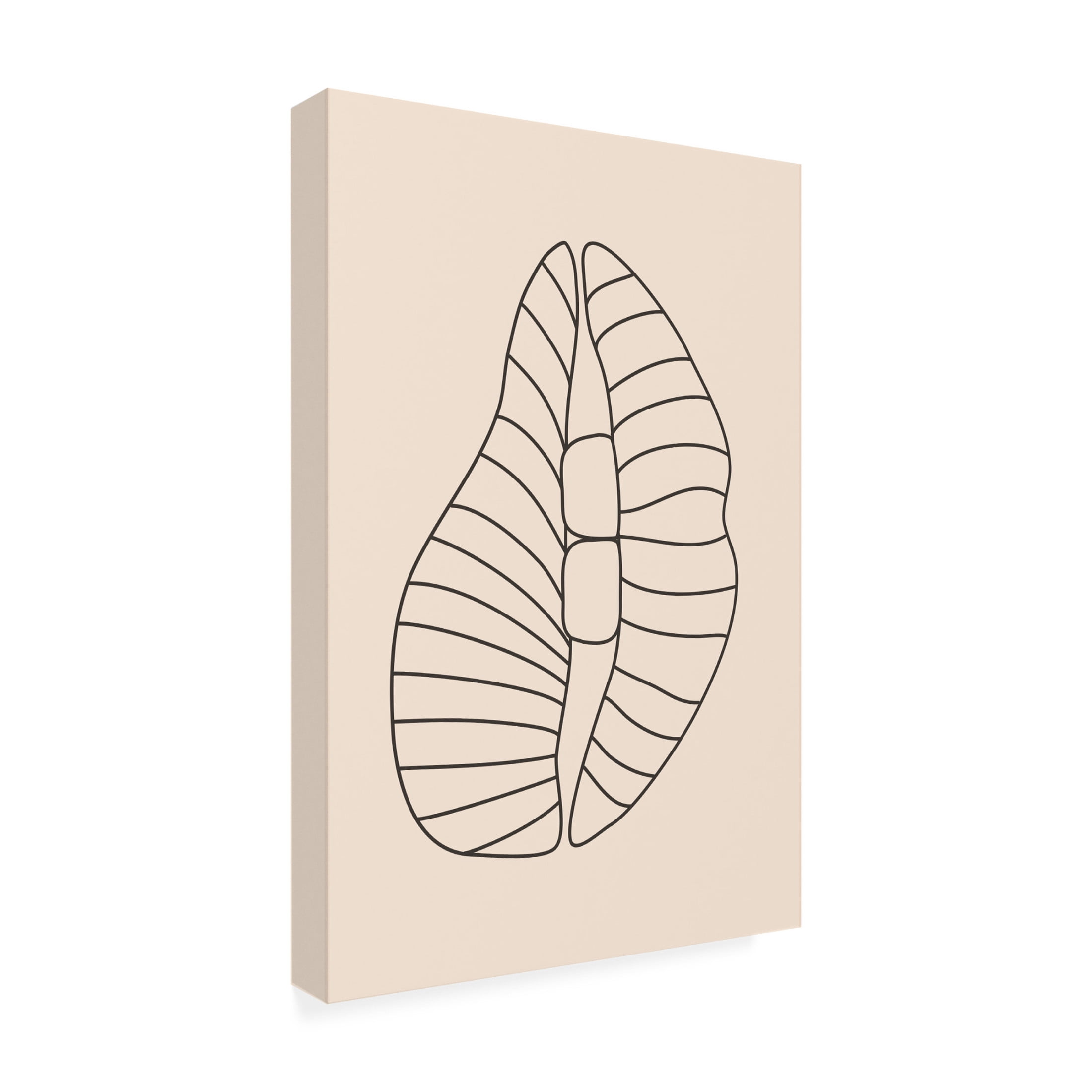 Trademark Fine Art jay stanley  Boho Mouth Canvas Wall Art
