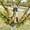 Red big scissors, variant on Telescopic Pruning Shears Pruning Shears Gardening Fruit Tree Shears Pruning Shears Garden Strong Pruning Shears Strong Pruning Shears