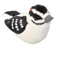 thumbnail image 1 of Peluche Wild Republic Audubon Birds Downy Woodpecker, 1 of 1