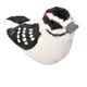 thumbnail image 1 of Peluche Wild Republic Audubon Birds Downy Woodpecker, 1 of 1