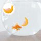 thumbnail image 3 of GOOHOCHY 2 estatuas decorativas para acuario, pequeñas figuras flotantes colgantes, animales submarinos, luna, artesanía, 3 of 8