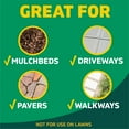 thumbnail image 4 of Spruce 24 oz Weed & Grass Killer Trigger Spray - Safe for People, Pets & Bees, 4 of 10
