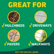 Spruce Weed & Grass Killer Refill, 64 oz.