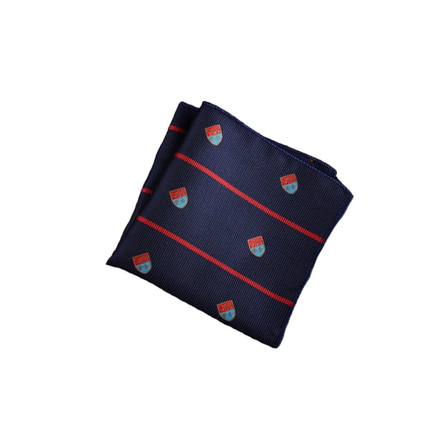 Pañuelo Masculino Minnieouse Suministros Flexibles Toalla de Mano de Poliéster Boda de Negocios Estilo Cuadrado 2 Accesorios de Disfraces Estilo 19
