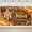5x3FT, variant on Fall for Jesus He Never Leaves Banner Autumn Thanksgiving Party Decorations Backdrop Fall Rustic Wooden Maple Leaves Pumpkin Friendsgiving Photo Banner