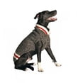thumbnail image 1 of Chilly Dog Boyfriend Dog Sweater, X-Large, 1 of 2