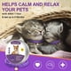 thumbnail image 5 of Juego de collar calmante para gatos Collar calmante para gatos ajustable con aroma a lavanda Collar relajante para gatos, Reduce la ansiedad por agresión por estrés, 38 cm Púrpura TUNC Sencillez, 5 of 5