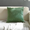 thumbnail image 4 of 2 uds cojín de sofá de terciopelo de color sólido funda de almohada sin núcleo simple, 4 of 5