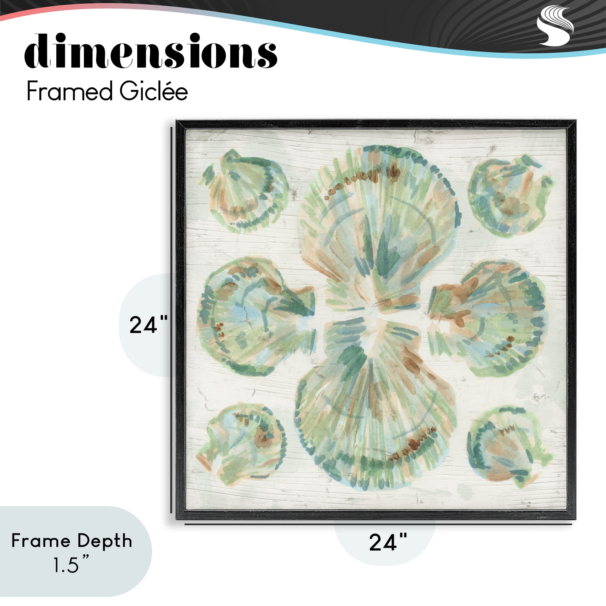Stupell Industries Saltwashed Shells Symmetry Black Framed Giclee Art, design by June Erica Vess