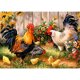 thumbnail image 1 of Hilo Algodón Ecológico Btafrte Bordado 11CT 3 Hebras Impresión 50*40cm Kit Serie Animal Punto Cruz Pollo SZX644, 1 of 10