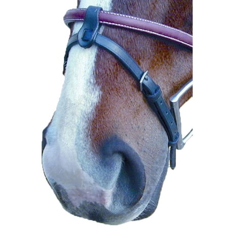 Intrepid International Pro-Trainer Flash Attachment Black Cob-FULL