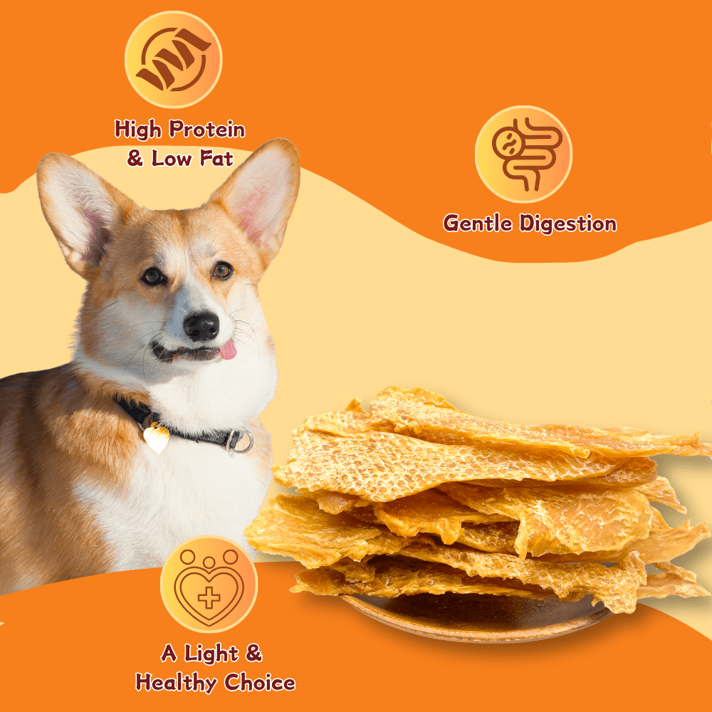 (3 Pack)ComfyCradle Air-Dried Chicken Jerky, Natural High-Protein Dog Treats, 15.87 oz
