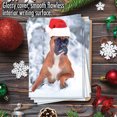 thumbnail image 5 of NobleWorks, Best Boxers - 12 Funny Christmas Cards Boxed - Bulk Set, C6295IXSG-B12x1, 5 of 6