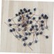 thumbnail image 5 of WEUVEB 50Ud Adornos De Bayas Falsas Para Hogar Y Fiestas Con Exquisito Y Uso En Manualidades, 5 of 8