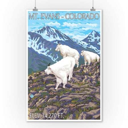 Poster Original Colour - Mt. Evans, Colorado - Goat Family - Lantern Press Original Poster (9x12 Art Print, Wall Decor Travel Poster)