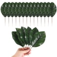 thumbnail image 1 of Paquete de 20 hojas artificiales, hoja verde falsa con tallos para bricolaje 8.2x21cm, 1 of 7