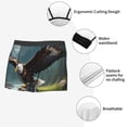 thumbnail image 4 of KLL Forest River Bald Eagle Men's Cotton Boxer Briefs Underwear-Large, 4 of 8